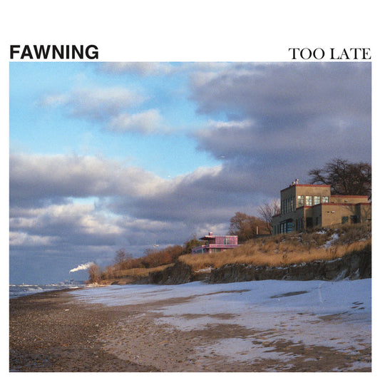 Fawning - Too Late