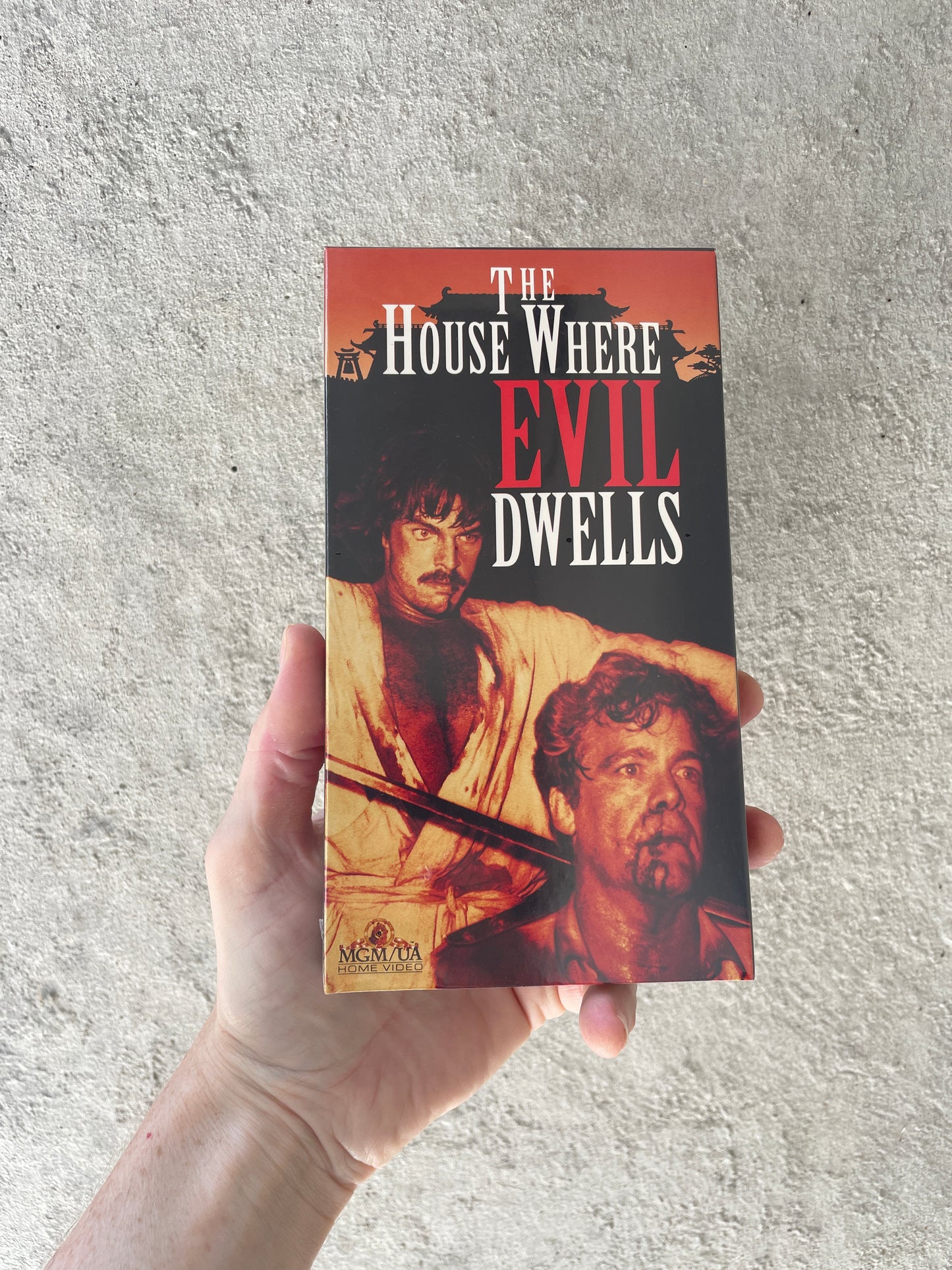 The House Where Evil Dwells VHS